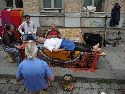 Bunte Republik Neustadt 2011-589 Augenblicke