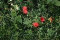 Bunte Seite