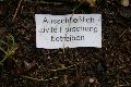 Bunte Seite