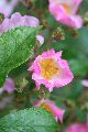 Bunte Seite