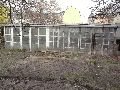 zwischen  1950 und 2011-ddr archäologie bei einer haushaltsauflösung in Pieschen