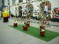Coschütz-Plauen-Hauptbahnhof