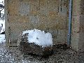 Winterspaziergang in der City