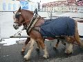 Winterspaziergang in der City