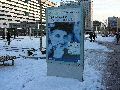 Winterspaziergang in der City