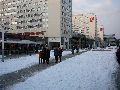 Winterspaziergang in der City