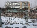 Winterspaziergang in der City