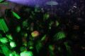 Solidaritätsveranstaltung für den Sender ColoRadio auf dem Freiraum Elbtal an der Leipziger Str.