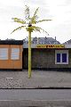 Spaziergang im Bereich Abrißstelle Straßenbahndepot Mickten