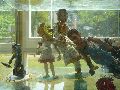 Jahresausstellung und Diplomanten-Ausstellung an der Hocdhschule für Bildende Künste