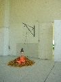 Jahresausstellung und Diplomanten-Ausstellung an der Hocdhschule für Bildende Künste