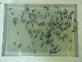 Jahresausstellung und Diplomanten-Ausstellung an der Hocdhschule für Bildende Künste
