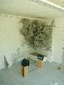 Jahresausstellung und Diplomanten-Ausstellung an der Hocdhschule für Bildende Künste