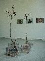 Jahresausstellung und Diplomanten-Ausstellung an der Hocdhschule für Bildende Künste