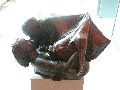 Jahresausstellung und Diplomanten-Ausstellung an der Hocdhschule für Bildende Künste