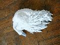 Jahresausstellung und Diplomanten-Ausstellung an der Hocdhschule für Bildende Künste