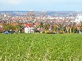 Spaziergang Bushaltestelle Dölzschen-Löbtau