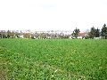 Spaziergang Bushaltestelle Dölzschen-Löbtau