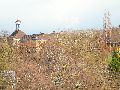 Spaziergang Bushaltestelle Dölzschen-Löbtau