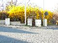 Spaziergang Bushaltestelle Dölzschen-Löbtau