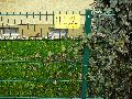 Spaziergang Bushaltestelle Dölzschen-Löbtau