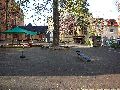Spaziergang Bushaltestelle Dölzschen-Löbtau
