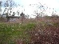 Spaziergang Bushaltestelle Dölzschen-Löbtau