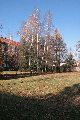 Spaziergang vom Straßenbahnhof Mickten-Elbepark,Kadlitz-Flutrinne-Pieschen, mit einigen schrägen Fotos