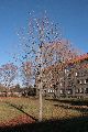 Spaziergang vom Straßenbahnhof Mickten-Elbepark,Kadlitz-Flutrinne-Pieschen, mit einigen schrägen Fotos