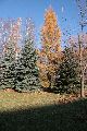 Spaziergang vom Straßenbahnhof Mickten-Elbepark,Kadlitz-Flutrinne-Pieschen, mit einigen schrägen Fotos