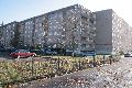 Spaziergang vom Straßenbahnhof Mickten-Elbepark,Kadlitz-Flutrinne-Pieschen, mit einigen schrägen Fotos
