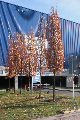 Spaziergang vom Straßenbahnhof Mickten-Elbepark,Kadlitz-Flutrinne-Pieschen, mit einigen schrägen Fotos