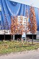 Spaziergang vom Straßenbahnhof Mickten-Elbepark,Kadlitz-Flutrinne-Pieschen, mit einigen schrägen Fotos