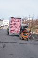 Spaziergang vom Straßenbahnhof Mickten-Elbepark,Kadlitz-Flutrinne-Pieschen, mit einigen schrägen Fotos