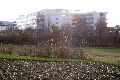 Spaziergang vom Straßenbahnhof Mickten-Elbepark,Kadlitz-Flutrinne-Pieschen, mit einigen schrägen Fotos