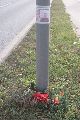 Spaziergang vom Straßenbahnhof Mickten-Elbepark,Kadlitz-Flutrinne-Pieschen, mit einigen schrägen Fotos