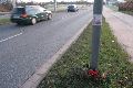Spaziergang vom Straßenbahnhof Mickten-Elbepark,Kadlitz-Flutrinne-Pieschen, mit einigen schrägen Fotos