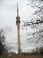 Halbzeitwerte der Vergangenheit-DDR, 2008-2009