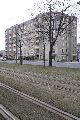 Halbzeitwerte der Vergangenheit-DDR, 2008-2009