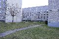 Halbzeitwerte der Vergangenheit-DDR, 2008-2009
