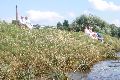 Faltbootfahrt auf der Elbe von Pieschen zur Gohliser Mühle