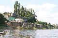 Faltbootfahrt auf der Elbe von Pieschen zur Gohliser Mühle