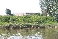 Faltbootfahrt auf der Elbe von Pieschen zur Gohliser Mühle
