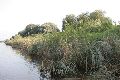 Faltbootfahrt auf der Elbe von Pieschen zur Gohliser Mühle