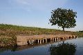 Faltbootfahrt auf der Elbe von Pieschen zur Gohliser Mühle
