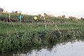 Faltbootfahrt auf der Elbe von Pieschen zur Gohliser Mühle