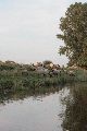 Faltbootfahrt auf der Elbe von Pieschen zur Gohliser Mühle