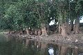 Faltbootfahrt auf der Elbe von Pieschen zur Gohliser Mühle