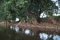 Faltbootfahrt auf der Elbe von Pieschen zur Gohliser Mühle