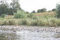 Faltbootfahrt von Pieschen zur Waldschlößchenbrückenbau-Stelle und zurück
